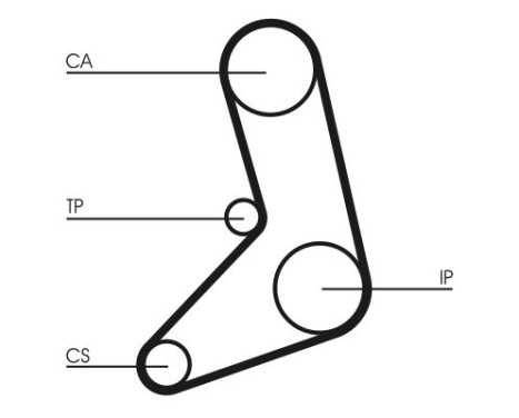 Timing belt CT542 Contitech, Image 3