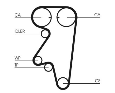 Timing belt CT543 Contitech, Image 4