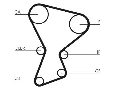 Timing belt CT545 Contitech, Image 4