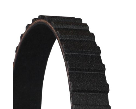 Timing belt CT561 Contitech, Image 4