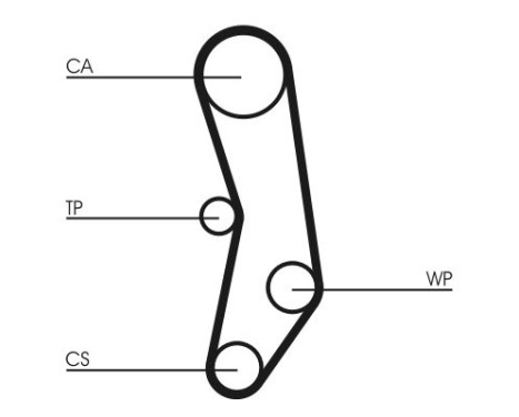 Timing belt CT562 Contitech, Image 5