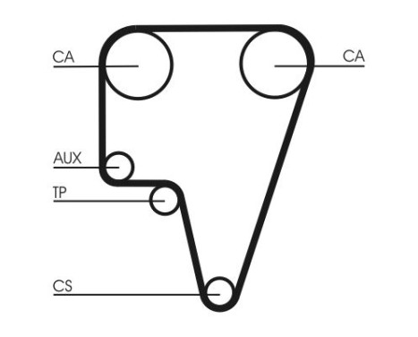 Timing belt CT575 Contitech, Image 3