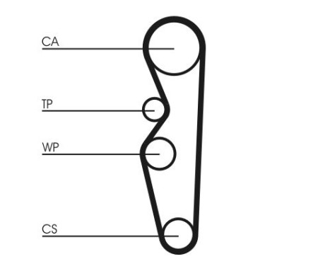 Timing belt CT576 Contitech, Image 3