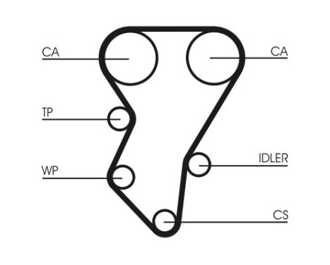 Timing belt CT588 Contitech, Image 3