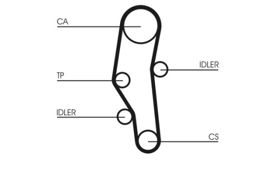 Timing belt CT589 Contitech, Image 3