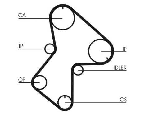 Timing belt CT596 Contitech, Image 4