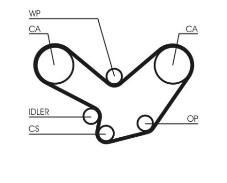 Timing belt CT600 Contitech, Image 3