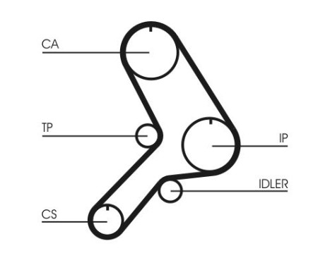 Timing belt CT611 Contitech, Image 3