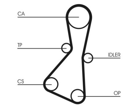 Timing belt CT614 Contitech, Image 4