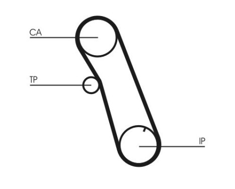 Timing belt CT616 Contitech, Image 4