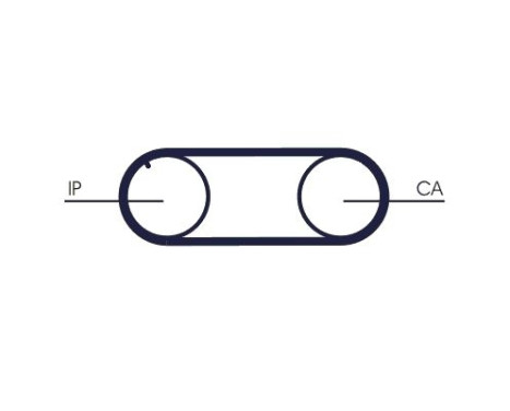 Timing belt CT645 Contitech, Image 3