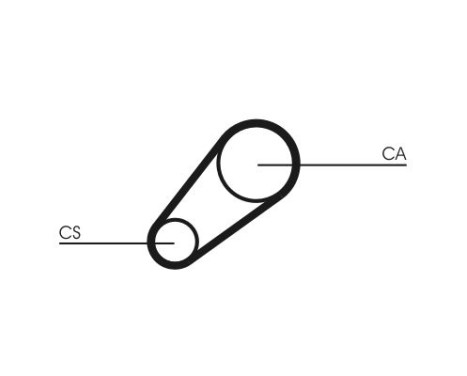 Timing belt CT648 Contitech, Image 3