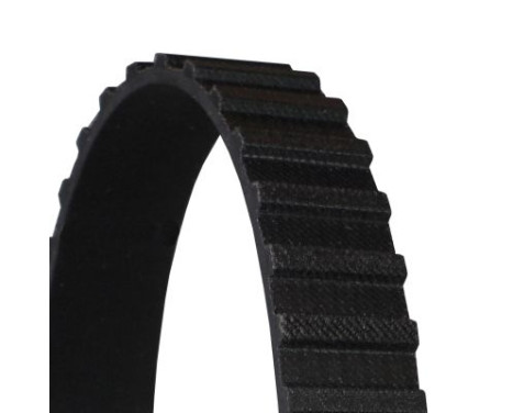 Timing belt CT651 Contitech, Image 4