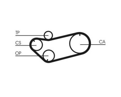 Timing belt CT659 Contitech, Image 3