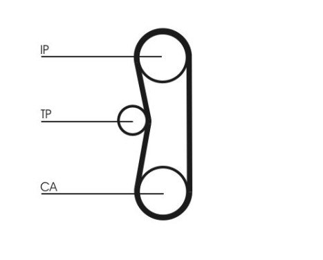Timing belt CT662 Contitech, Image 3