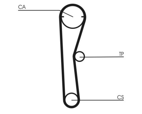 Timing belt CT669 Contitech, Image 4