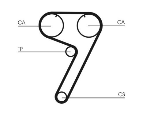 Timing belt CT670 Contitech, Image 4