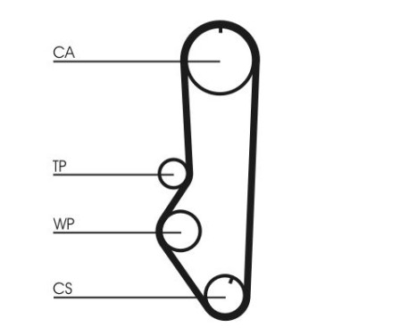 Timing belt CT688 Contitech, Image 3