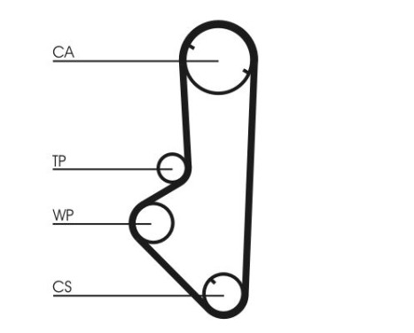 Timing belt CT707 Contitech, Image 4