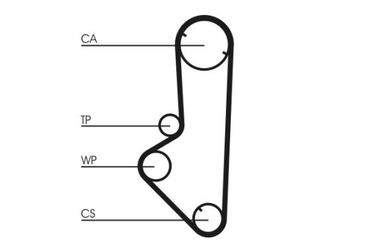 Timing belt CT707 Contitech, Image 4