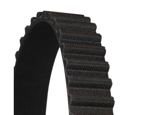 Timing belt CT712 Contitech, Image 2