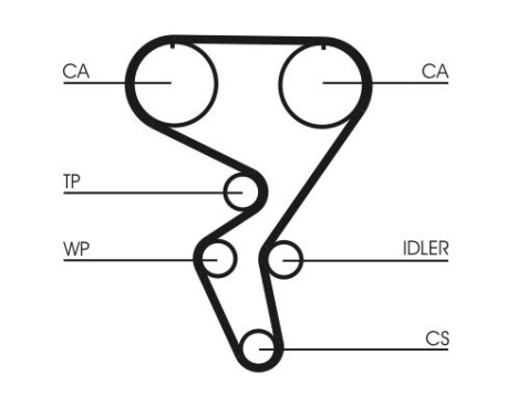 Timing belt CT724 Contitech, Image 3