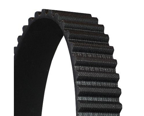 Timing belt CT727 Contitech, Image 3