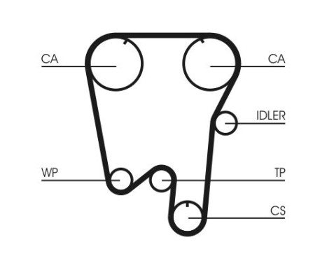 Timing belt CT737 Contitech, Image 4