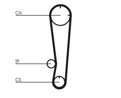 Timing Belt CT738 Contitech, Image 3