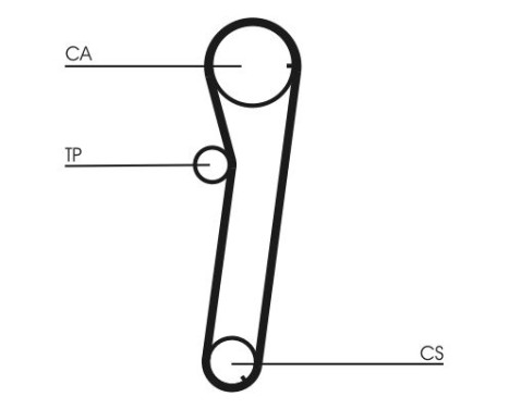 Timing belt CT739 Contitech, Image 3