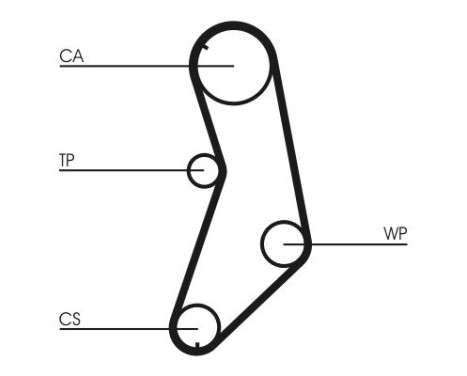 Timing belt CT745 Contitech, Image 4
