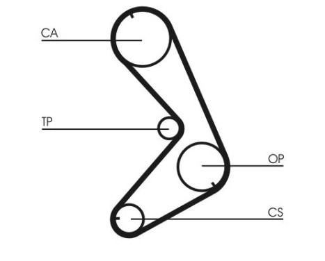 Timing belt CT749 Contitech, Image 5