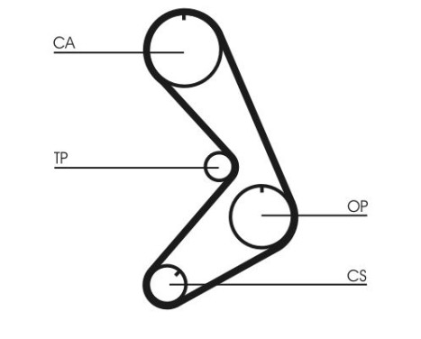 Timing belt CT750 Contitech, Image 4