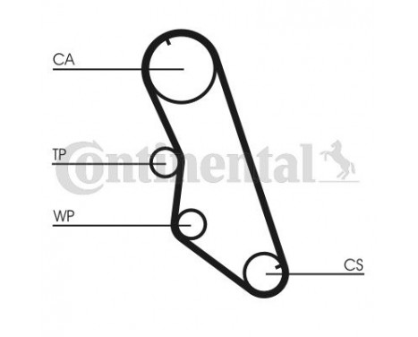 Timing Belt CT754 Contitech, Image 3