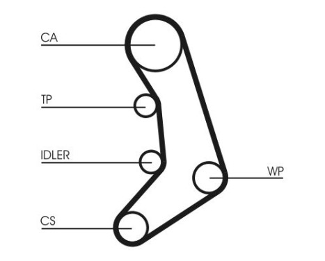 Timing belt CT758 Contitech, Image 4