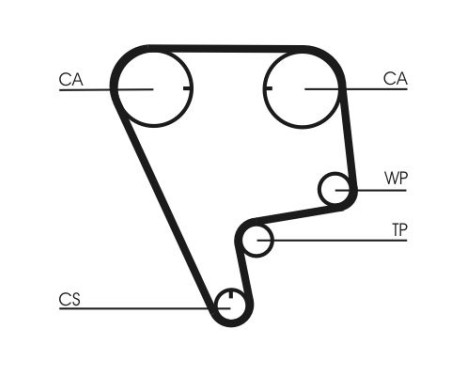 Timing belt CT773 Contitech, Image 4