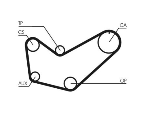 Timing Belt CT778 Contitech, Image 3