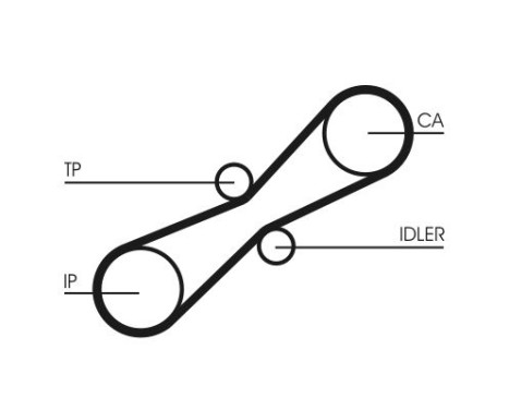 Timing belt CT791 Contitech, Image 3