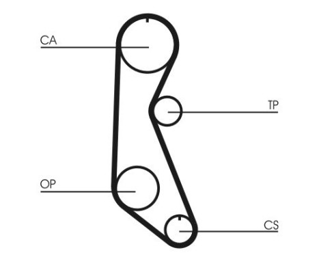 Timing Belt CT816 Contitech, Image 4