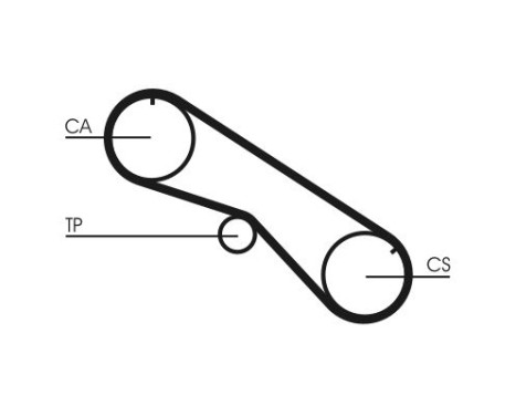 Timing belt CT818 Contitech, Image 4