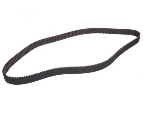 Timing belt CT829 Contitech