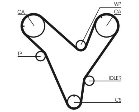 Timing belt CT829 Contitech, Image 4