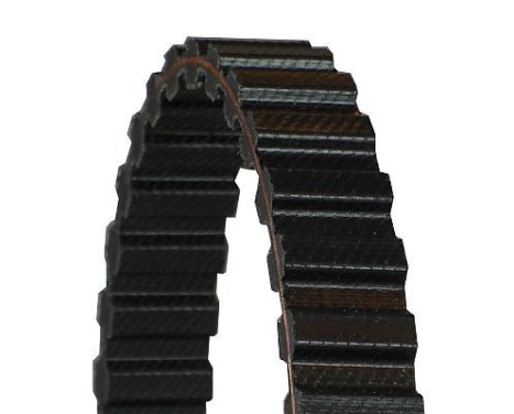 Timing belt CT833 Contitech, Image 3