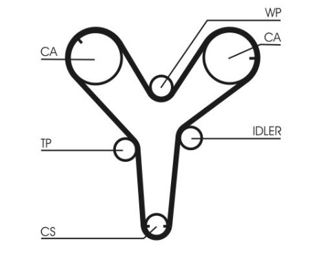 Timing belt CT844 Contitech, Image 4