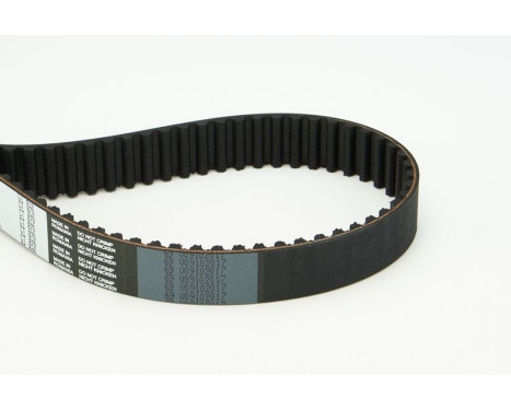 Timing belt CT870 Contitech, Image 4