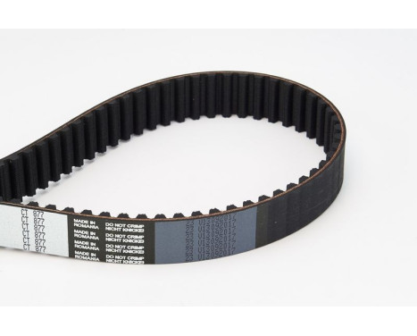 Timing Belt CT877 Contitech, Image 4