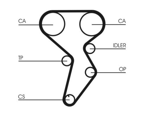 Timing belt CT879 Contitech, Image 3