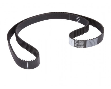 Timing belt CT884 Contitech
