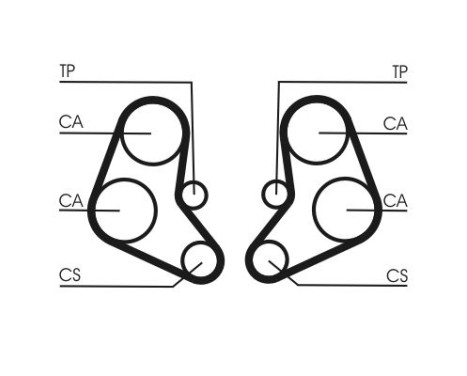 Timing belt CT886 Contitech, Image 3