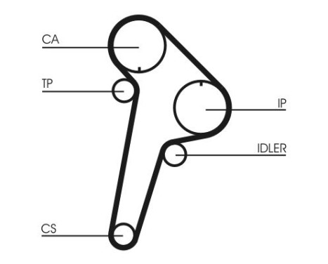Timing belt CT891 Contitech, Image 3